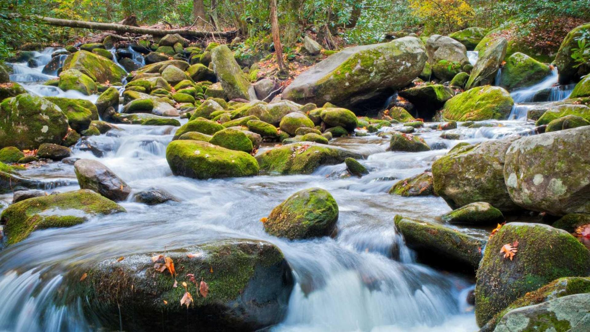 Little Smoky Retreat , 3 Bedroom , Close To Downtown Gatlinburg And Pigeon Forge Eksteriør billede